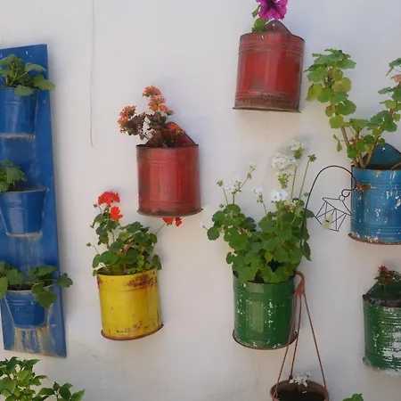 Πανσιόν Bonjour 2*